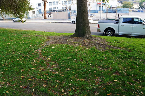 Prospect.Park.ELA&gt;19