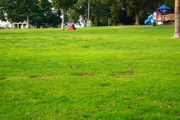 Prospect.Park.ELA&gt;14