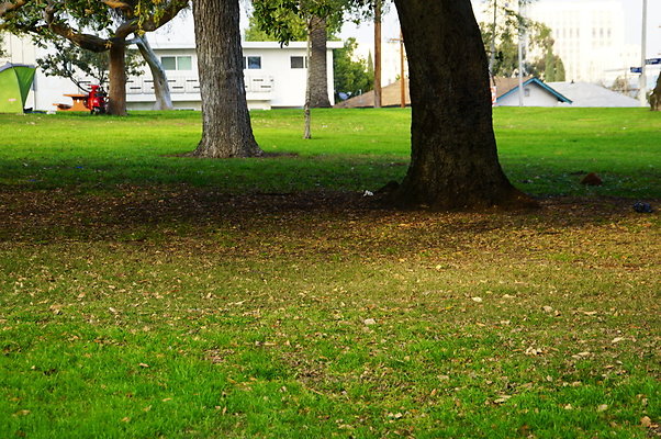 Prospect.Park.ELA&gt;08