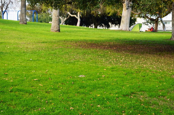 Prospect.Park.ELA&gt;15