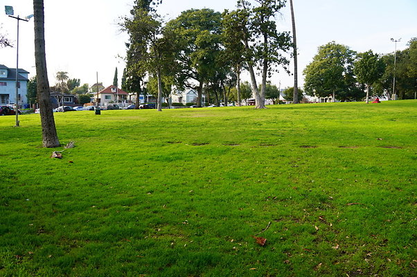 Prospect.Park.ELA&gt;04