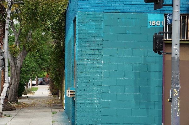 Cesar.Chavez.Blue.Wall.Circle.20