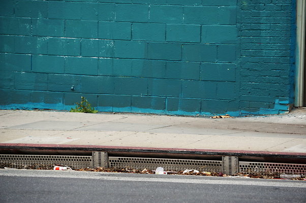 Cesar.Chavez.Blue.Wall.Circle.10