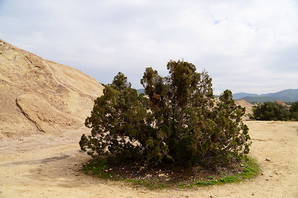 Vazquez.Rocks.75 Vazquez.Rocks.75