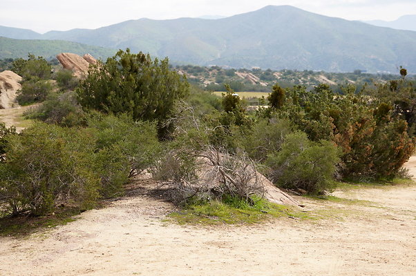 Vazquez.Rocks.102 Vazquez.Rocks.102