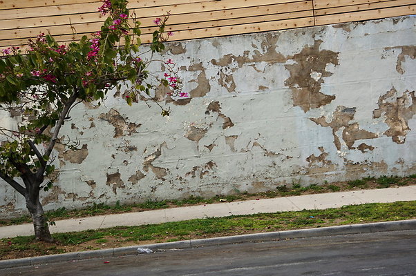 White.Tex.Wall.ELA.07