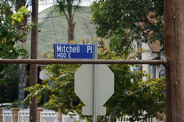 Green.House.Mitchel.Pl.ELA.21