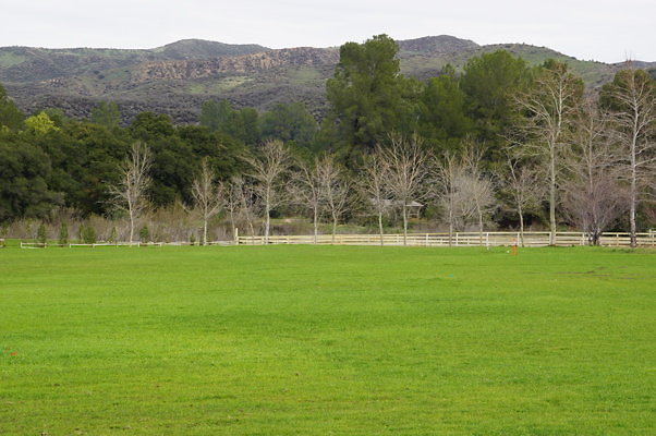 GOR.West.Meadow.33