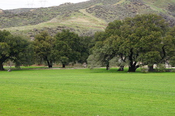 GOR.West.Meadow.30