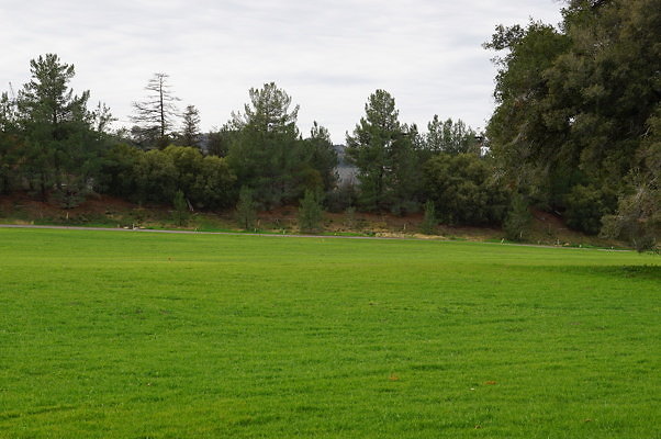 GOR.West.Meadow.11