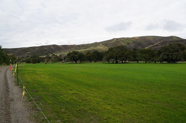 GOR.West.Meadow.26