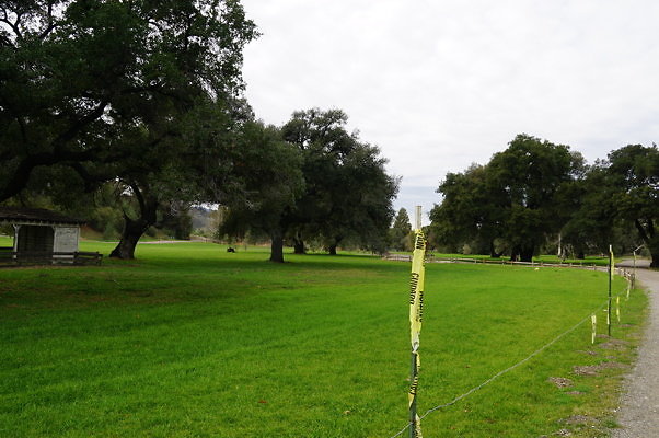 GOR.West.Meadow.19