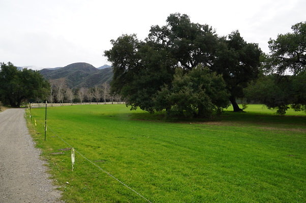 GOR.West.Meadow.17