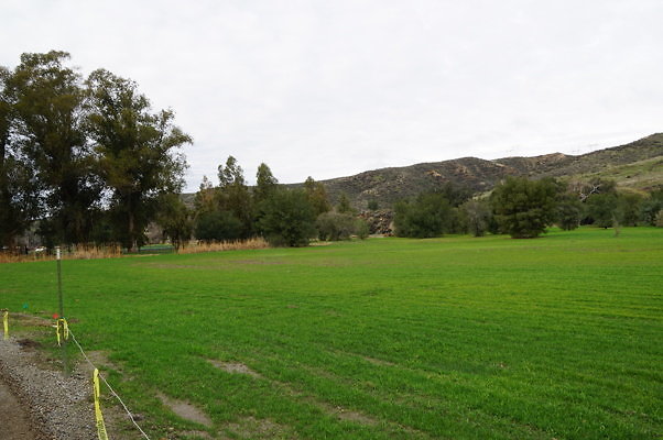 GOR.West.Meadow.20