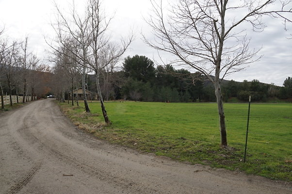GOR.West.Meadow.01