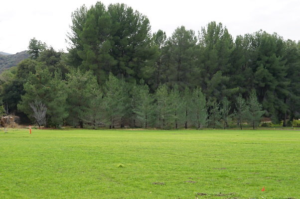 GOR.West.Meadow.08