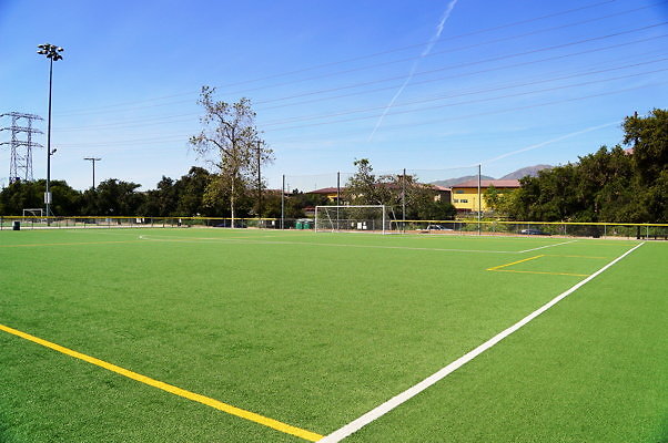 Ferraro.Turf.29