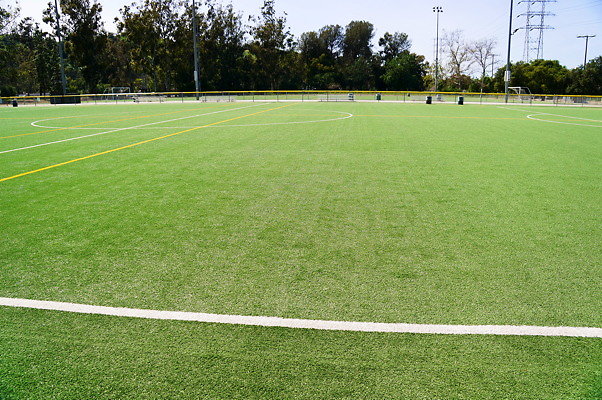 Ferraro.Turf.43