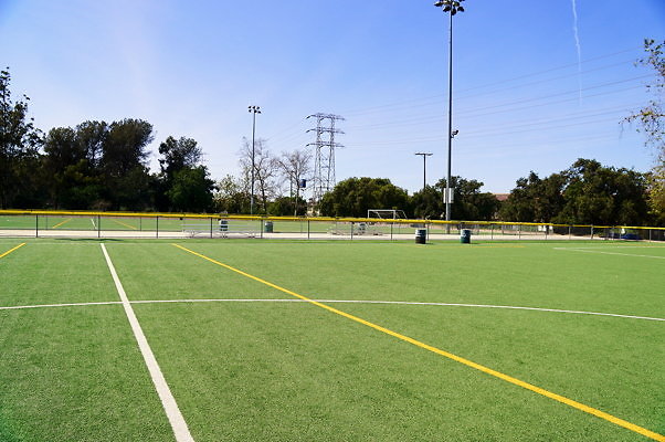 Ferraro.Turf.12