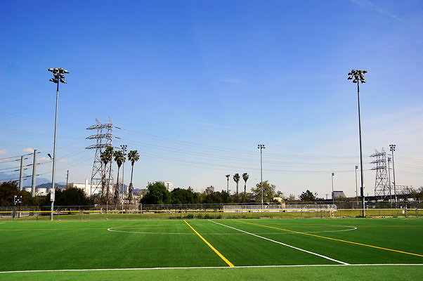 Ferraro.Turf.37
