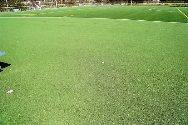 Ferraro.Turf.39