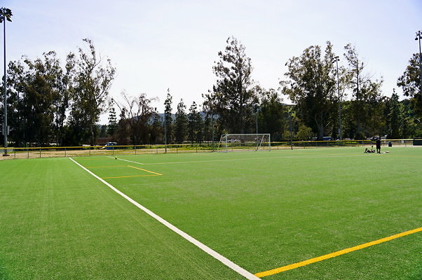 Ferraro.Turf.27