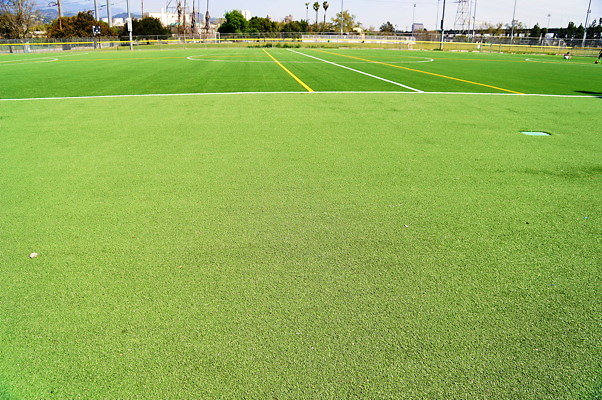 Ferraro.Turf.40