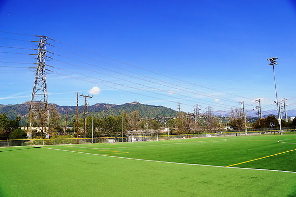 Ferraro.Turf.30