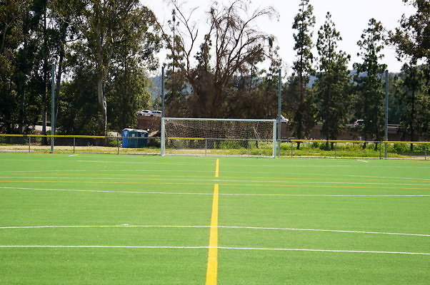 Ferraro.Turf.07