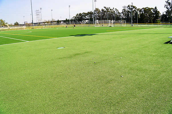 Ferraro.Turf.41