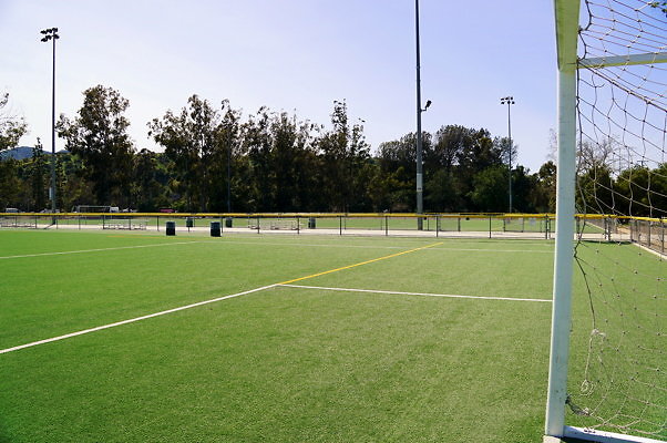 Ferraro.Turf.05