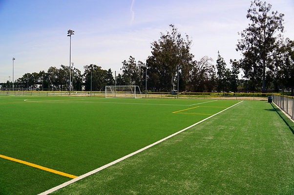 Ferraro.Turf.11