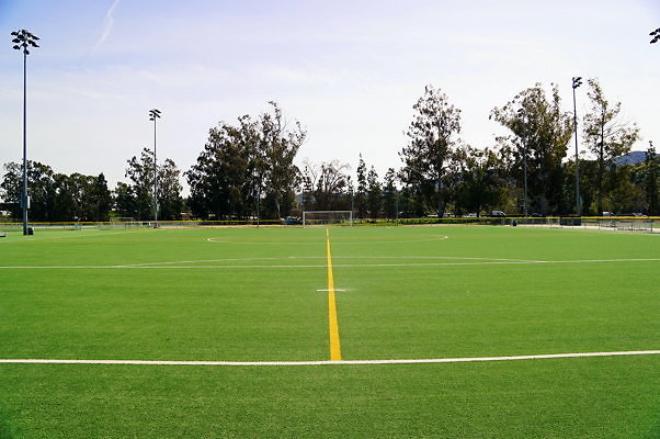 Ferraro.Turf.04