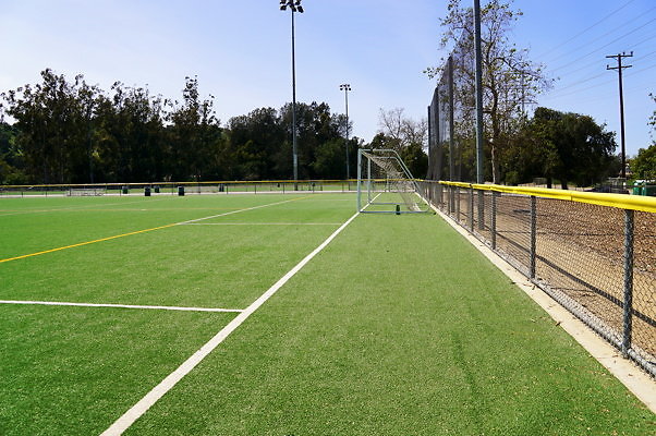 Ferraro.Turf.02