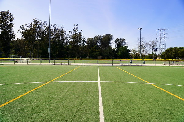 Ferraro.Turf.19