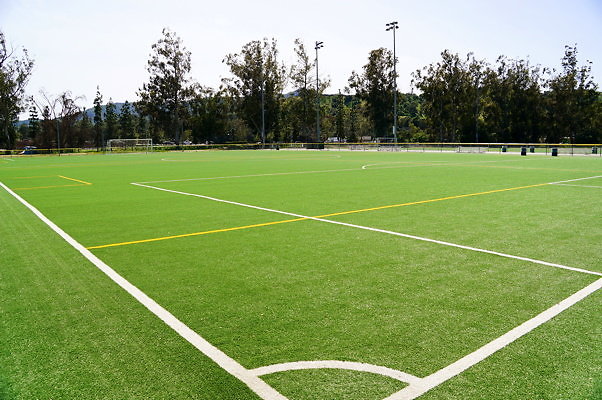 Ferraro.Turf.01c