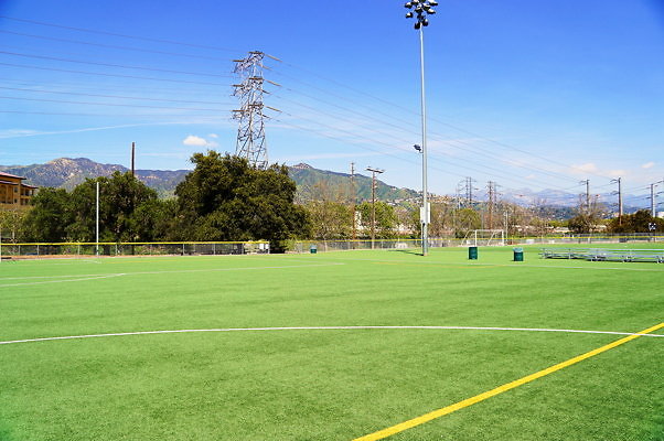 Ferraro.Turf.21
