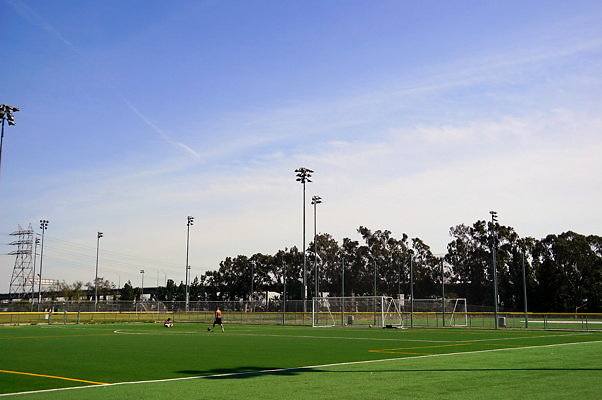 Ferraro.Turf.38