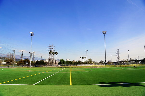 Ferraro.Turf.31