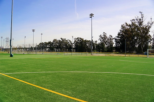 Ferraro.Turf.23