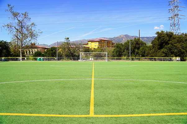 Ferraro.Turf.13
