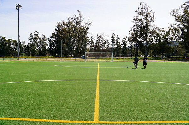 Ferraro.Turf.16