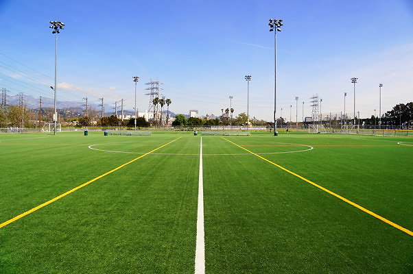 Ferraro.Turf.10