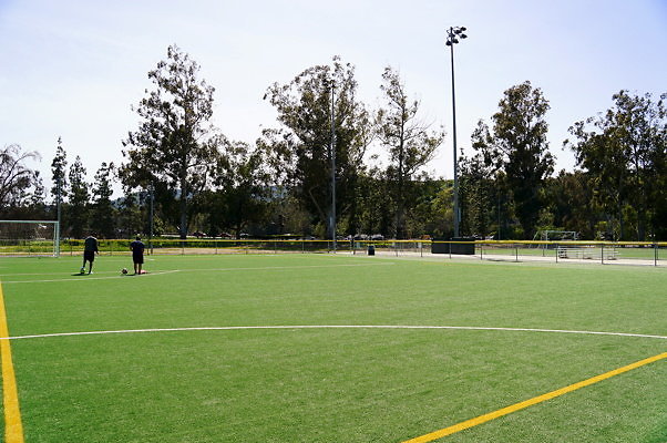 Ferraro.Turf.18