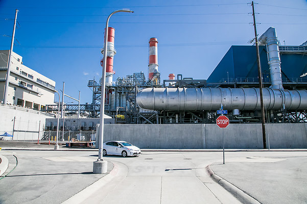 Hyperion.H2O.Plant.123