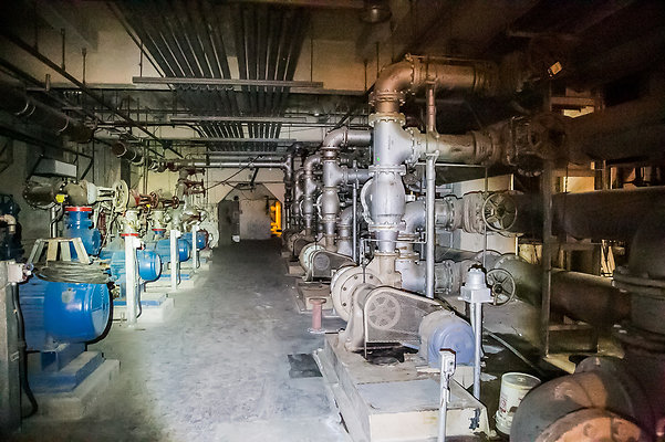 Hyperion.H2O.Plant.17