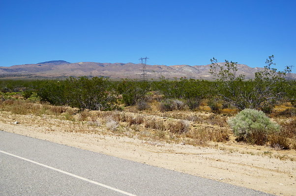 Backus.Rd.West.Willow.Spring.End.19