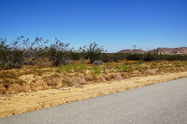 Backus.Rd.West.Willow.Spring.End.23