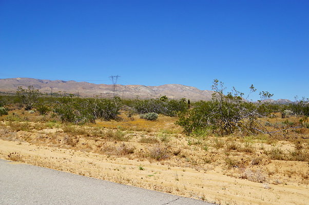 Backus.Rd.West.Willow.Spring.End.31