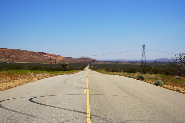 Backus.Rd.West.Willow.Spring.End.27
